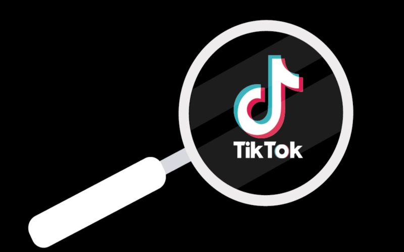 TikTok Search